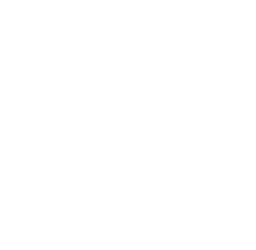 [github]